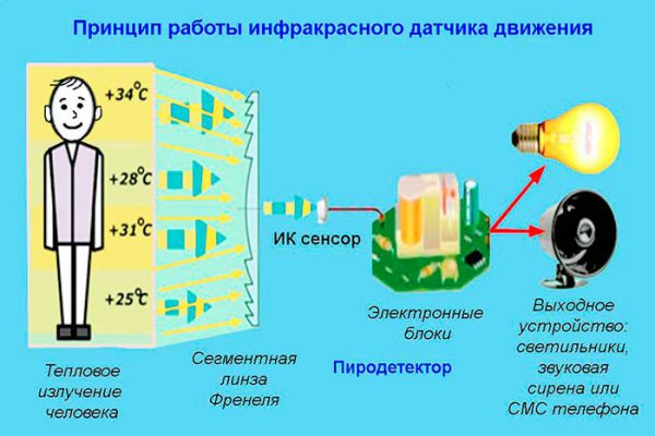 Принцип работы инфракрасного датчика движения