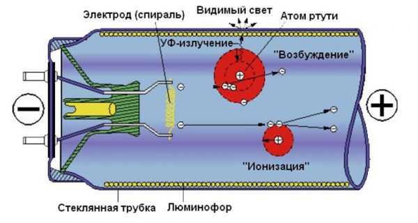 Конструкция люминесцентной лампы