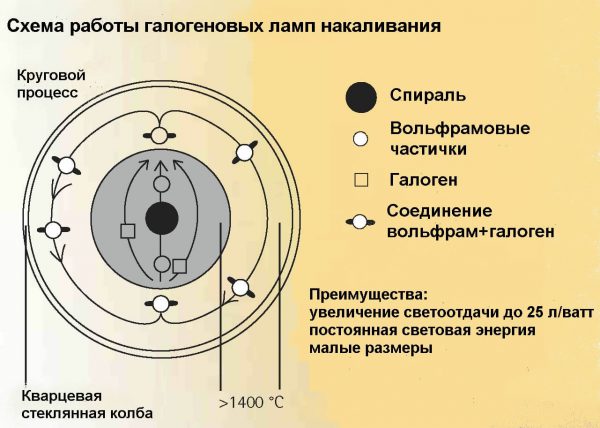 Принцип действия галогенового источника света