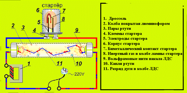 Схема работы лампы дневного света
