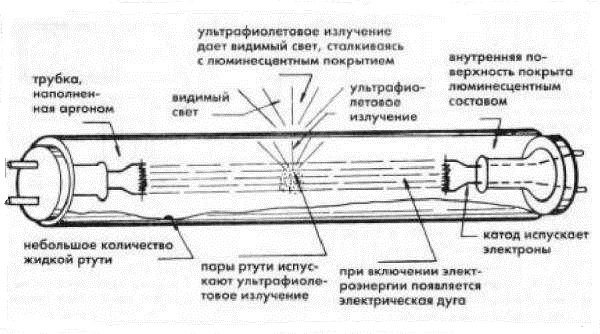 Устройство линейной люминесцентной лампы