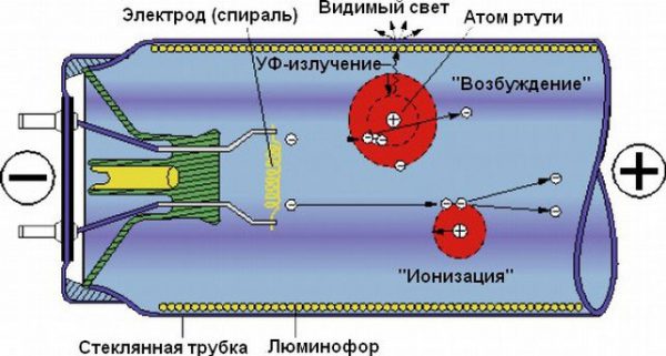 Принцип действия люминесцентных ламп