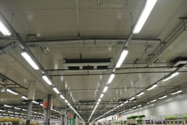 Лампы дневного света отличаются высокой экономичностью и невысокой стоимостью
